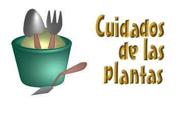 cuidados_plantas
