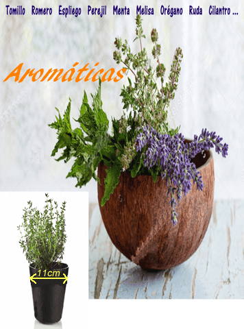 Aromaticas-1,80 